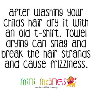Mini Manes Hair