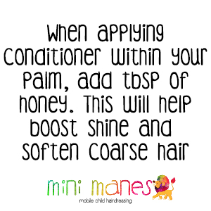 Mini Manes Hair Care Tips