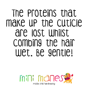 Mini Manes Hair Care Tips